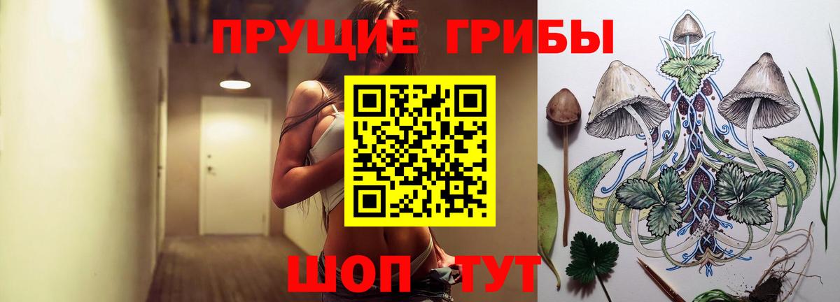 Псилоцибиновые грибы MAGIC MUSHROOMS  Вход с VPN  Мценск  наркошоп  Галлюциногенные грибы Psilocybine cubensis 